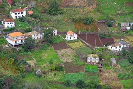 Lombo da cima Madère