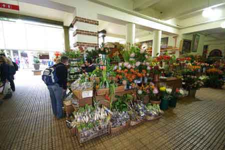 marché de funchal  Madere