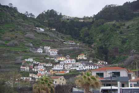 Vignes à Porto Moniz Madère