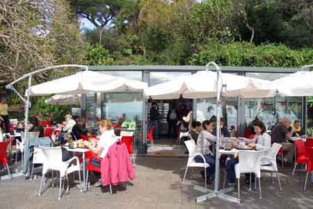 cafétaria du jardin botanique de Funchal Madere
