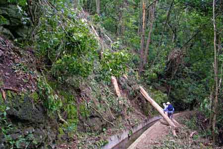 levada dos tornos Madere