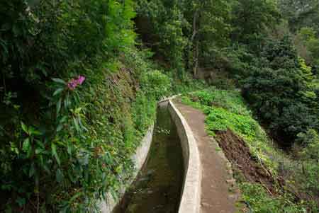 levada dos tornos Madere