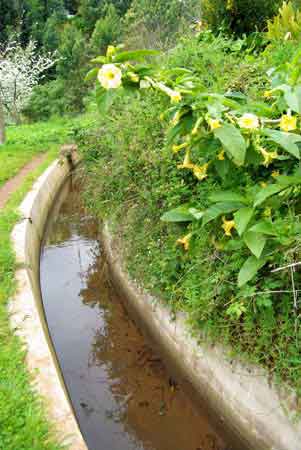 Levada dos tornos Madere