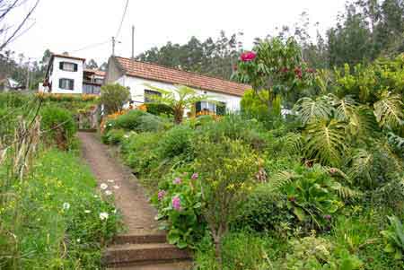 Levada dos tornos Madere