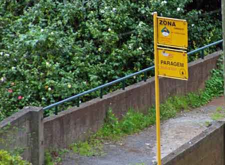 arrêt du bus 36 Levada dos tornos Madere