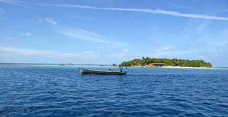 Raies Manta Maldives 