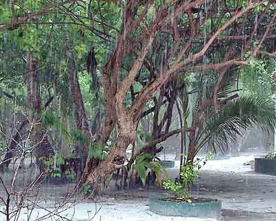 pluie embudu Maldives