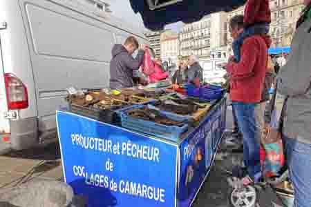 Marseille le vieux port marché aux poissons