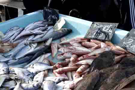 Marseille le vieux port marché aux poissons