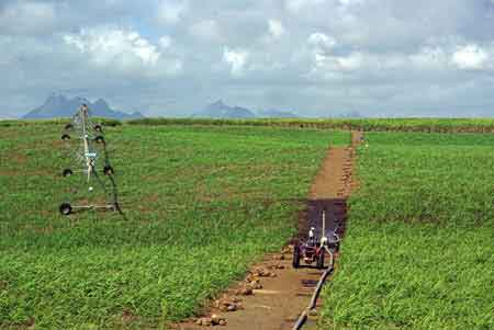 Paysage vers goodlands - ile maurice