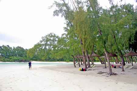 ile aux cerfs Maurice Mauritius