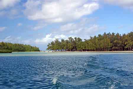 ile aux cerfs  maurice