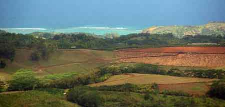 des gorges de la rivire noire  Chamarel