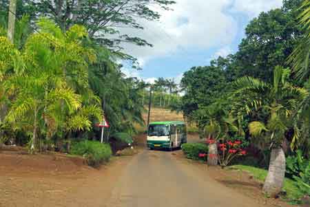 vers Chamarel - ile Maurice