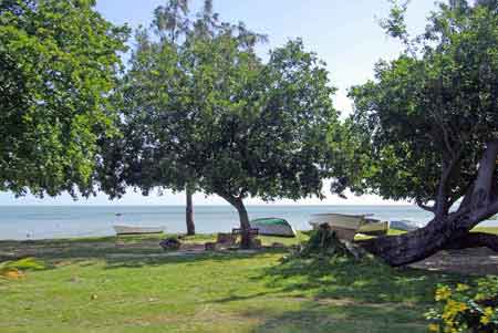 Pointe corail de la prairie - ile maurice