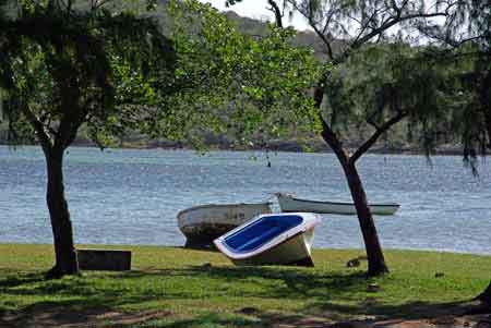 Pointe corail de la prairie - ile maurice