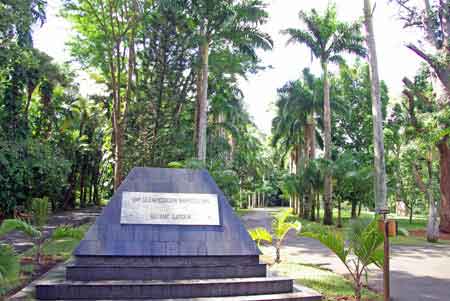 jardin de Pamplemousses - ile Maurice