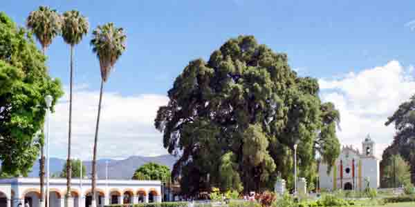  Oaxaca Mexique