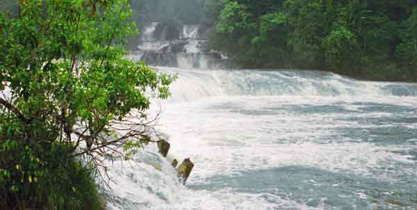 chutes aquazul Mexique