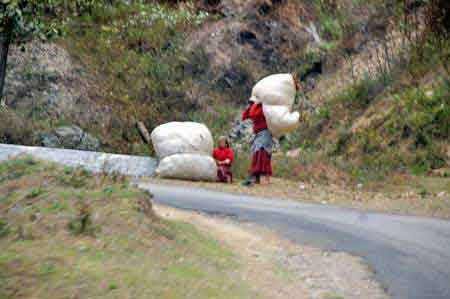 Nagarkot Npal