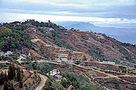 Nagarkot Npal