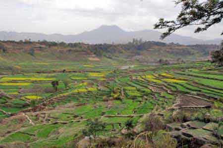 champs en terrasses Bungamati dans la vallée de Katmandou