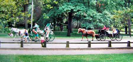 New-York Central Park  