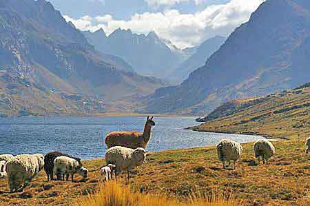 Pérou Parc national Huascaran lac Querococha