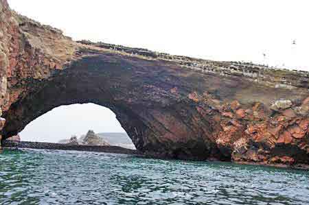 Pérou islas iles Ballestas  reserve de Paracas 