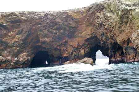 Pérou islas iles Ballestas  reserve de Paracas 