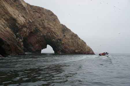 Pérou islas iles Ballestas  reserve de Paracas 