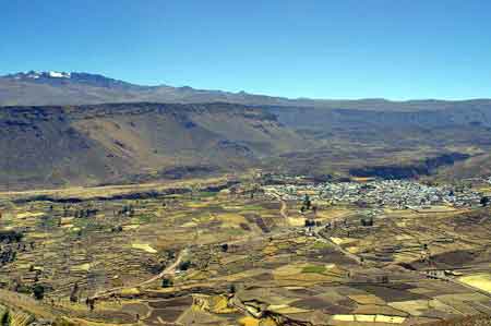 Pérou Chivay terrasses canyon de Colca 