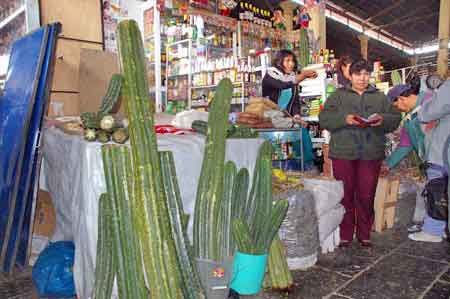 marché de San Pedro Cuzco Perou