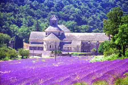 Abbaye de Senanque