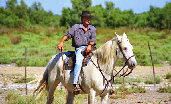 camargue gardian