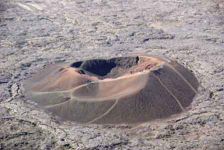 formica léo piton de la fournaise  La Runion