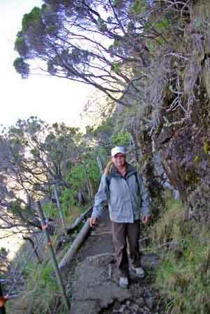 les marches de la falaise La Runion