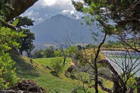 plaine des cafres La Runion