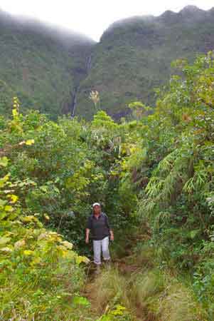 cascade Biberon La Réunion 