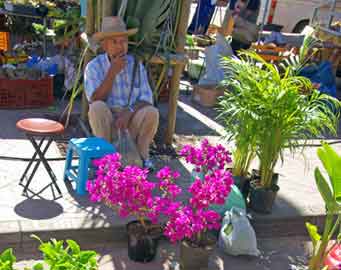 marché forain à St Pierre