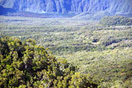 foret de bébour Belouve