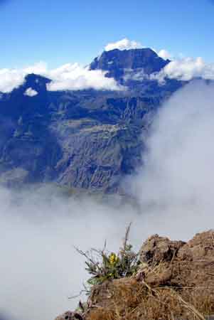 Piton du Maido vues sur mafate Île de la Réunion 