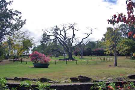 musée Villèle