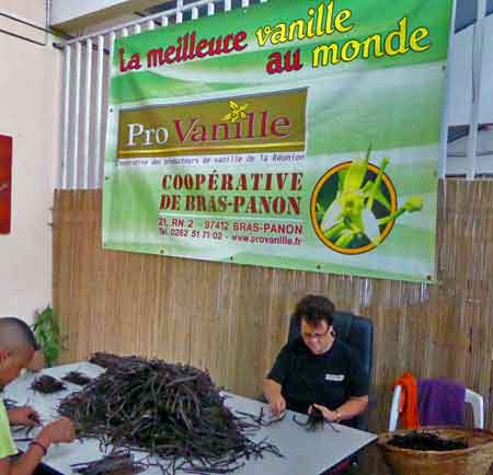 vanille  Saint Benoit La  Réunion