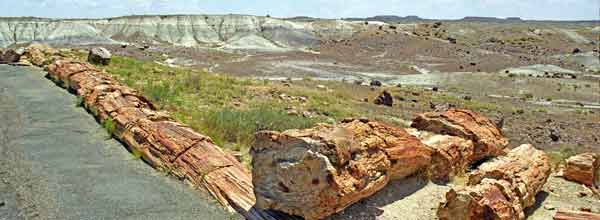 ROUTE 66 - Arizona - petrified forest - foret petrifiee