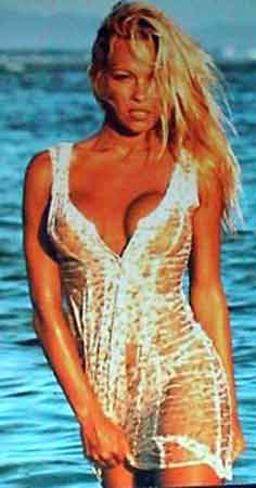 pamela anderson