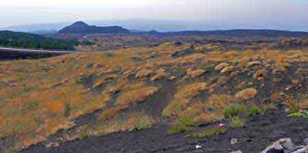 vegetation Etna Sicile