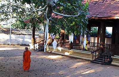moine Bonze Sri Lanka 	Anuradhapura