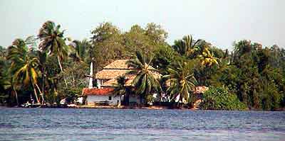 lac balapitti Sri Lanka