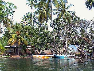 lac balapitti Sri Lanka